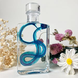 May include: A clear glass rectangular bottle filled with liquid containing a vibrant blue snake skeleton. The skeleton is coiled in a serpentine shape within the bottle, which is topped with a clear glass stopper and neck.