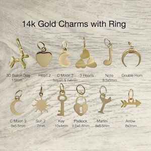 14k Gold Charms, Gold Charms, Gold Star, Crescent Moon, Shell, Sun, Bird, Pineapple Charms