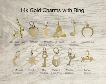 14k Gold Charms, Gold Charms, Gold Star, Crescent Moon, Shell, Sun, Bird, Pineapple Charms