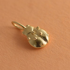 Colgante de mariquita de oro de 14 k, collar de mariquita de oro macizo, colgante de insecto, colgante de animal, collar de buena suerte, regalo de cumpleaños para ella