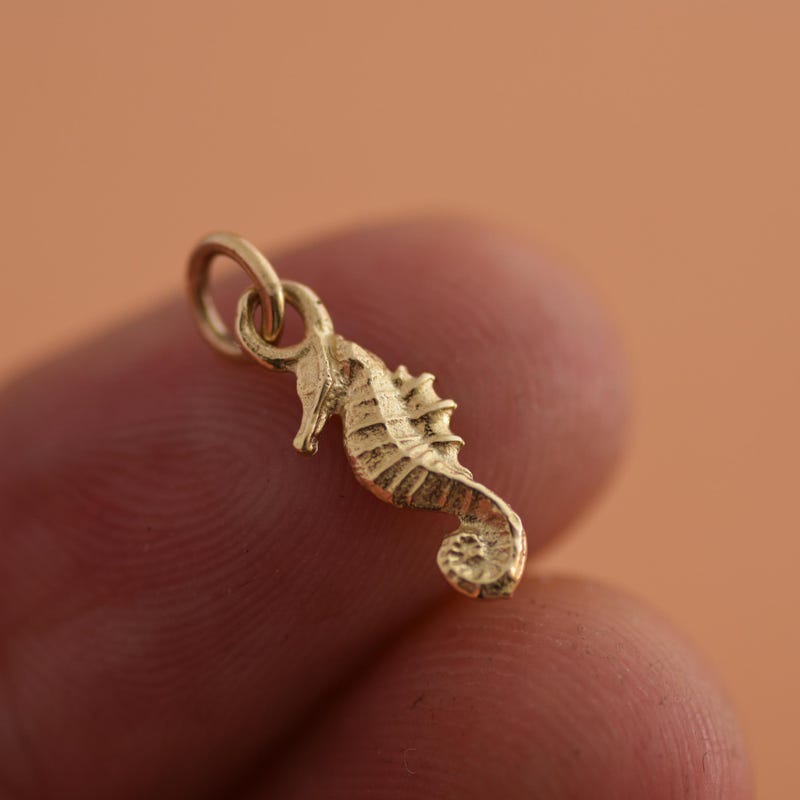 10k Yellow Gold Seahorse Pendant - 1.50 Gram Solid Gold Charm For Necklace Or Bracelet, Gift Ready - View #3