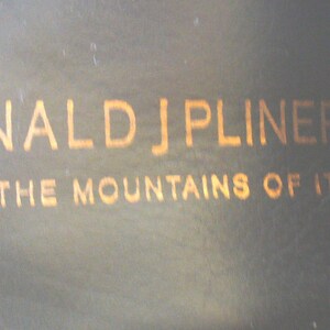 May include: A dark interior surface featuring the gold-colored text DONALD J PLINER with a diamond symbol on each side, followed by the text MADE IN THE MOUNTAINS OF ITALY printed in a clean, sans-serif font on a smooth, dark material.