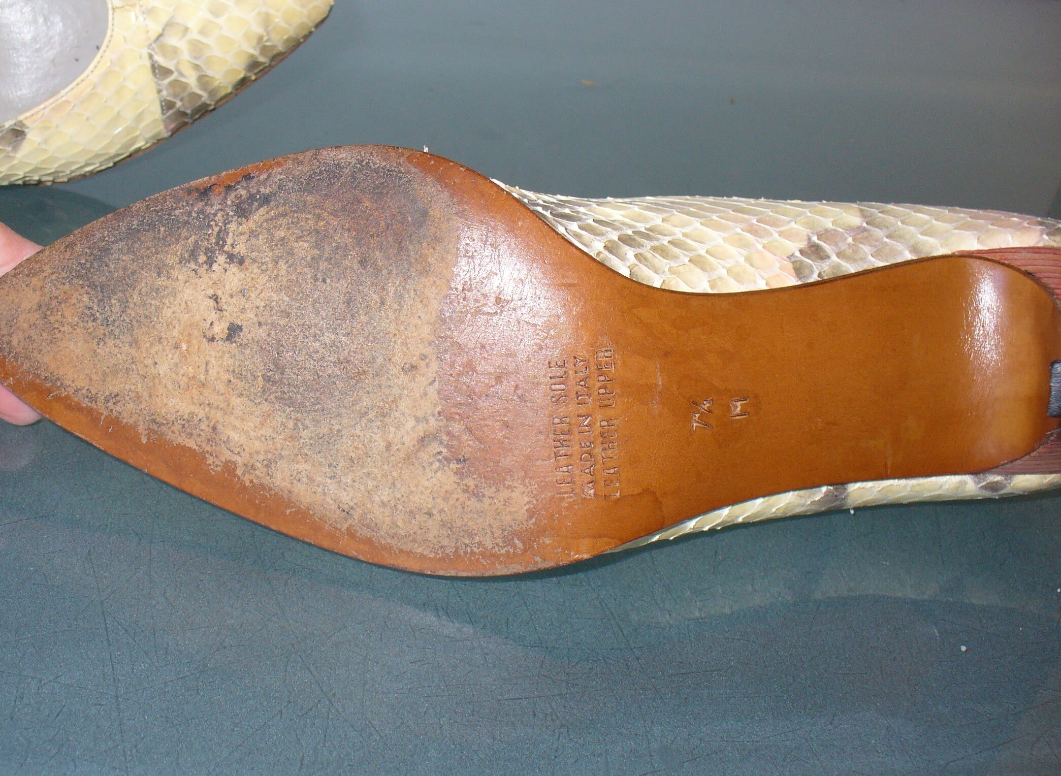 gallery photo