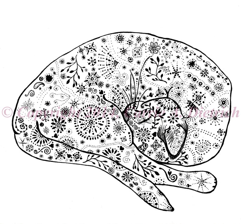 Art De Chat Dessin De Chat Doodle Art Stylo Et Encre Art Etsy