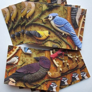 8 Card Set Birds of Beebe Woods Value Pack image 1