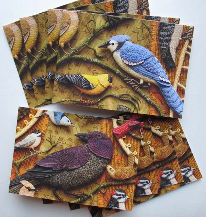 8 Card Set Birds of Beebe Woods Value Pack image 1