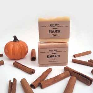 Pumpkin and Cinnamon Spice Soap - Set of 2 Unscented, Natural, Vegan Soaps - Housewarming Gift - Stocking Stuffer Gift, Cold Process Soap