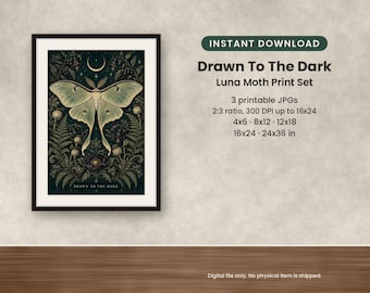 Könnte beinhalten: Ein gerahmter Kunstdruck mit dem Titel Drawn To The Dark zeigt einen blassgrünen Mondfalter über dunklem Laub, Farnen und Mohnkapseln unter einer Mondsichel. Text: Drawn To The Dark, Luna Moth Print Set, 3 druckbare JPGs, 2:3 Verhältnis, 300 DPI bis 40x60 cm, 10x15, 20x30, 30x45, 40x60, 60x90 cm, Digital file only. No physical item is shipped.