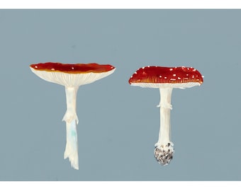 Dos hongos venenosos