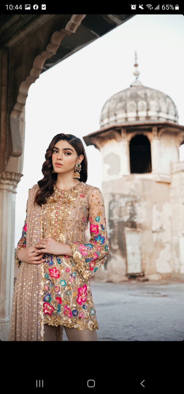 Pakistani Formal Peplum Dress Etsy Sweden