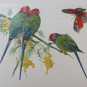 Circa 1920&#39;s - Parrots // Image Transfer Wood Tile Furniture 5&quot; x 6.5&quot; // Original Antique Decal Not Reproduction Not Waterslide *Free ship