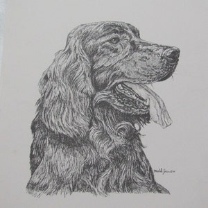 Labrador Retriever Bleistift Skizze Druck Kunstwerk Poster für die Einrahmung Auf Papier Künstler Datiert 1979-1984 - Viele andere zur Auswahl!