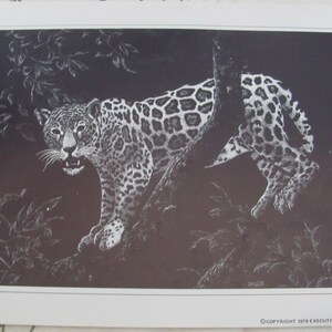 Droguett Print Circa 1979 &quot;Treed Jag&quot; On Paper Black and White Etching 8.5&quot; x 11&quot; - Many others to choose from