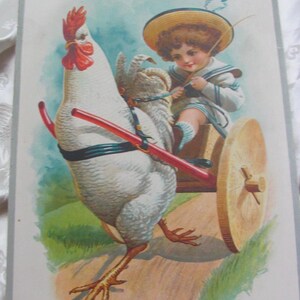 Antieke prent boekplaat circa 1908 Hayes-litho//kippenkinderwagen//ideaal voor het inlijsten van ingelijste kunstafdrukken 8 x 12 inch kleur