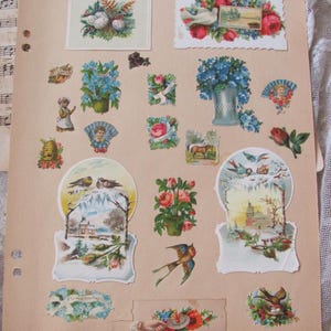 Antigos pedaços de corte de cartões de visita comerciais, lote de cerca de E1900 a L1800, álbum de inverno com pássaros alemães em relevo vitoriano e flores