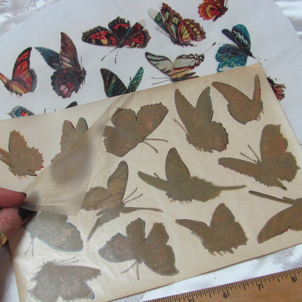 Circa 1920's - 13 Large Butterflies // Image Transfer Wood Tile Metal Glass Leather 6.5" x 9.5" // 100 Years Old Antique Not Reproduction