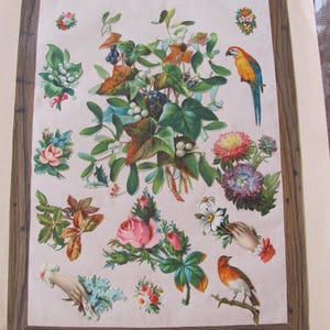 Antigos pedaços de corte de matriz, cartões de visita comerciais, lote por volta de E1900's L1800's, buquê alemão em relevo vitoriano, flores, pássaros, página do álbum