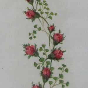 Könnte beinhalten: Eine zarte florale Illustration einer rosafarbenen Rosenranke mit grünen Blättern und Stielen auf weißem Hintergrund.
