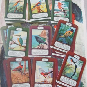 2 naipes intercambiables individuales // Tarjeta vintage "Cuarteto de pájaros" para coleccionar individualmente *Envío gratuito* Bunte Vogelwelt, Alemania