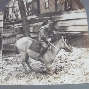 Original Photographs Antique // Photo of Child and Horse Pony // RPPC CDV Cabinet Card Early Century Photography Stereoscope Stereo View