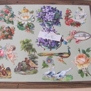 Lot de cartes de visite anciennes découpées à l'emporte-pièce, vers E1900, L1800, victorien allemand en relief, bouquet de fleurs, oiseaux, page d'album