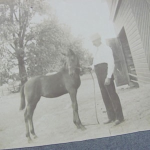 Original Photograph Antique // Photo of Man and Horse // RPPC CDV Cabinet Card Early Century Photography - Others to choose from