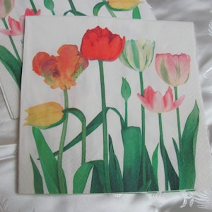 3 Pretty Colorful Tulips Flowers Floral Paper Napkins for Decoupage Collage Paper Arts - 13&quot; square 3 Ply Hallmark