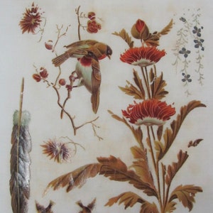 Puede incluir: Una ilustración vintage con un par de pájaros posados en una rama con bayas rojas, una pluma, dos pájaros volando y una flor roja con hojas marrones.