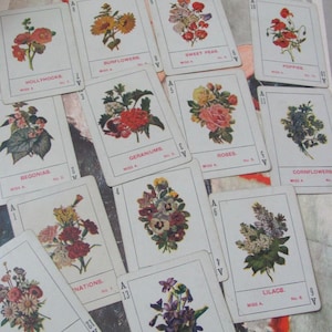 2 enkele geruilde speelkaarten // Botanische bloemen vintage kaart Individueel verzamelen *Gratis verzending per brief*. Nog veel meer in mijn shop!