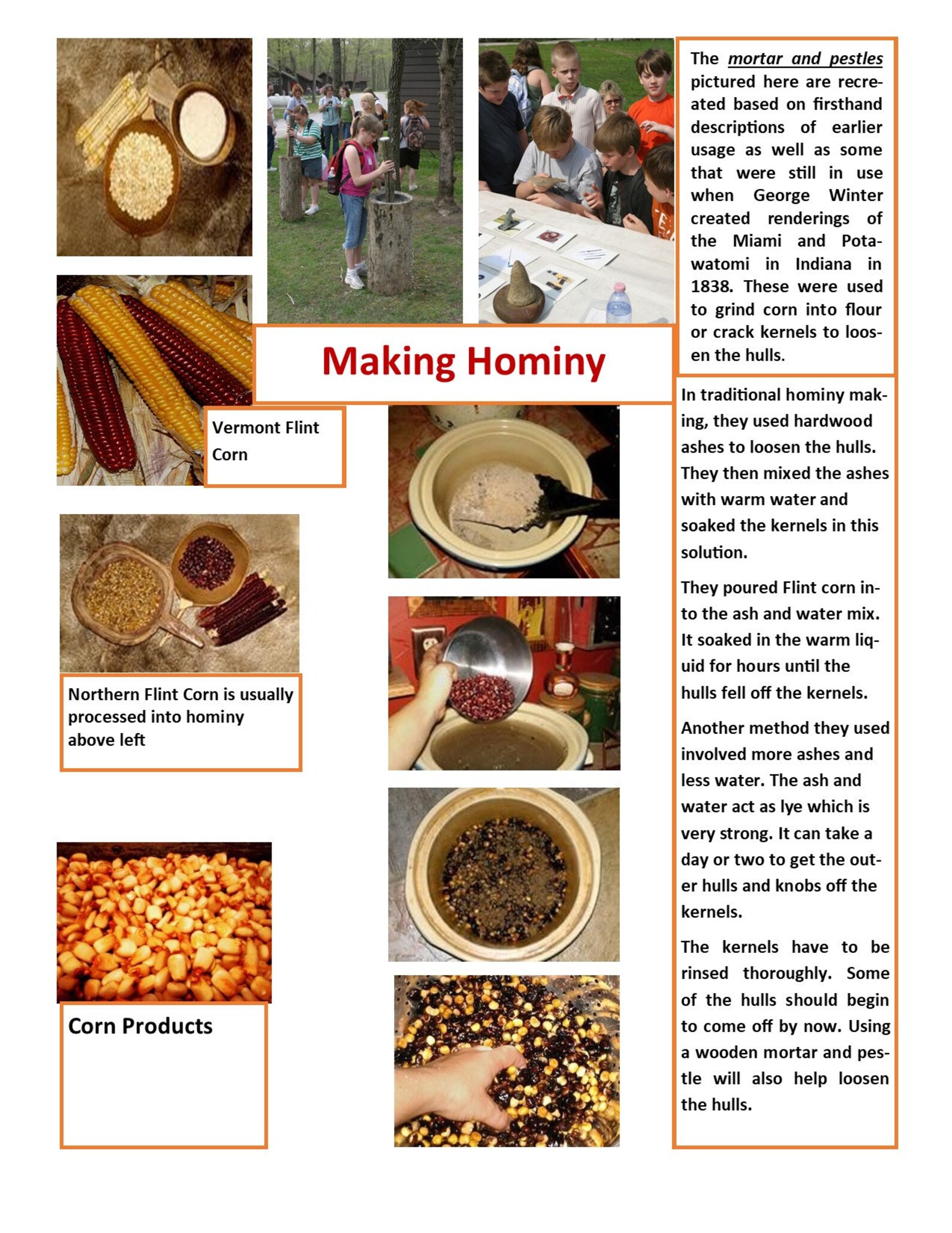 Native Woodland Foods Etsy