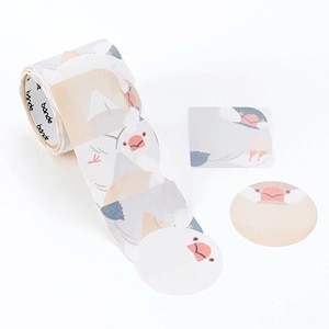 Java Sparrow Writable Roll Stickers Bande