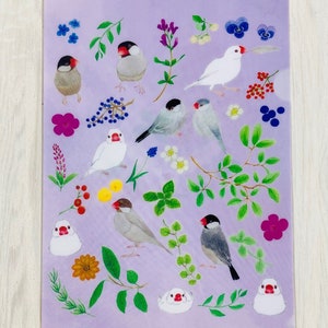 Organizador de carpetas de archivos Java Sparrow A5