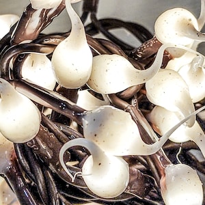 May include: A close-up of a string of white LED lights with a brown wire. The lights are shaped like teardrops and are clustered together.