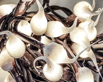 Vanilla Bean Dipped Light Strand 100 ct. Hand Dipped LED String Lights