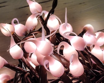 Blush Pink  Hand Dipped LED String Lights 35 ct. Light Strand
