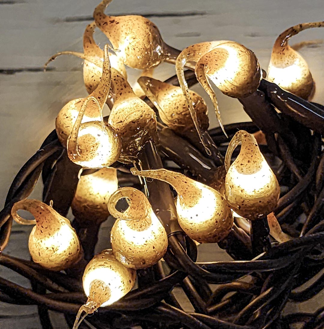 Grubby Hand Dipped Rustic LED String Lights: Primitive Home Decor, 50 ...
