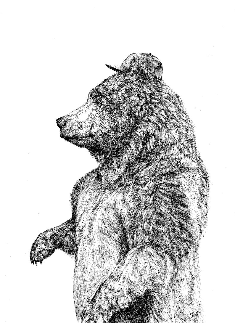 Bear A4 Print, Brown bear, Bear drawing, Daddy bear, Black and White art, Bear Illustration, grizzly bear wall art, Nature Decor, Fun Gift image 1