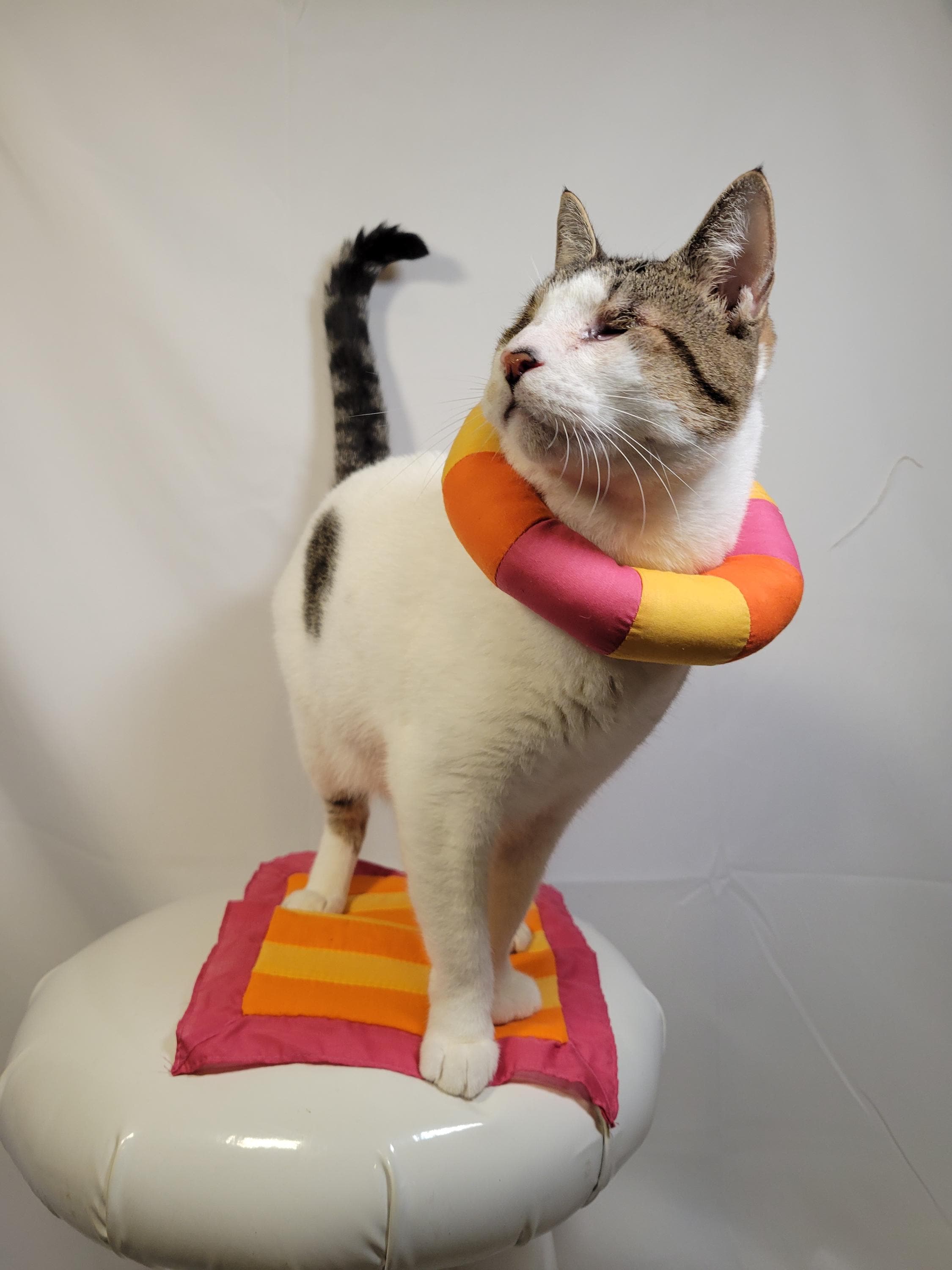 Vintage Handmade Small Dog or Cat Costume Beach Towel and Life Preserver Halloween Costume