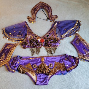 May include: A purple belly dance costume set with gold embellishments. The set includes a bra, shorts, armbands, a headpiece, and arm sleeves. The bra and shorts are adorned with sequins, beads, and fringe.