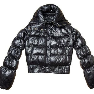 Può includere: Un piumino nero con collo alto, maniche lunghe e finitura lucida. La giacca presenta sezioni trapuntate orizzontali, una chiusura frontale con zip e un logo ricamato color argento sulla parte superiore del petto. Il design include un colletto ampio e strutturato e polsini aderenti.