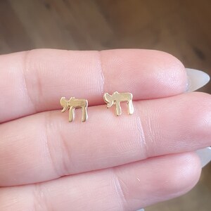 Gold Chai Stud Earrings, Chai Studs, Chai Hebrew Jewelry, Jewish Israel Chai, Hebrew Chai Earrings, חי Earrings