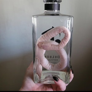 May include: A clear glass bottle with a gold ornate stopper, containing a white snake. The bottle label reads "DELEÓN REPOSADO TEQUILA".