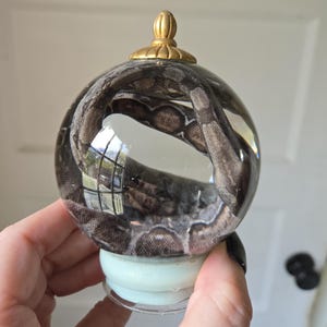 May include: A clear glass sphere with a snake inside, topped with a gold-colored finial. The sphere sits on a light blue base. The snake has a brown and tan pattern.