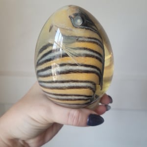 May include: A clear glass orb with a black and white striped fish inside. The fish is preserved and appears to be swimming in the orb.