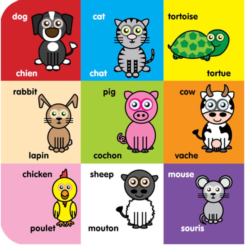 FRENCH bilingual children's First Words book image 5