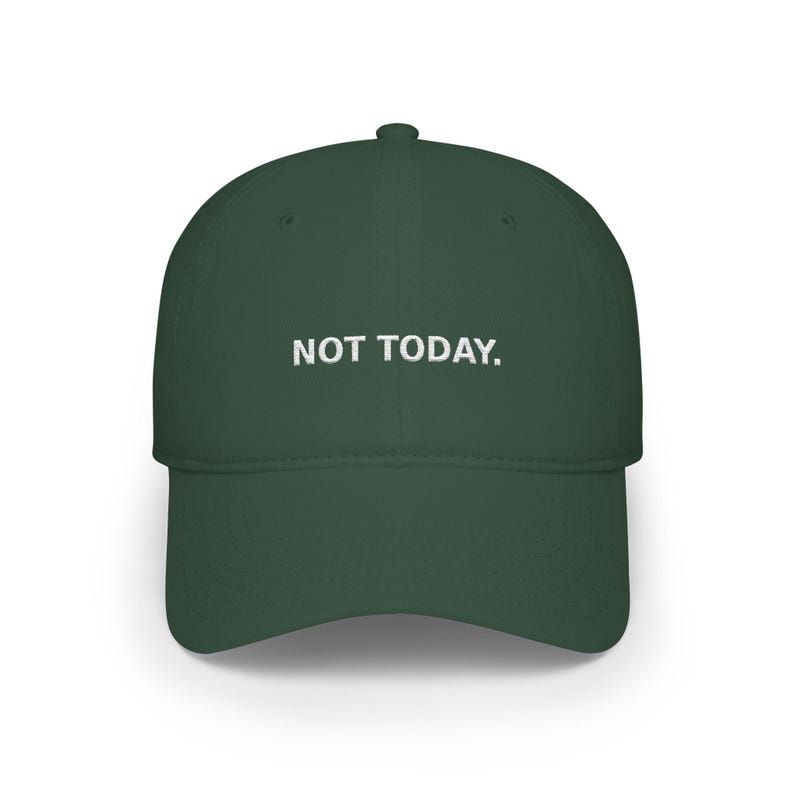 NOT TODAY Embroidered Hat, Funny Sarcastic Dad Cap, Introvert Humor Gift image 9