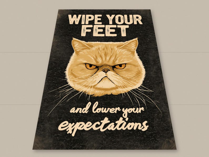 May include: A rectangular black doormat featuring a central illustration of a grumpy orange cat face. The text WIPE YOUR FEET is printed in white above the cat, and the text and lower your expectations is printed in white below the cat.