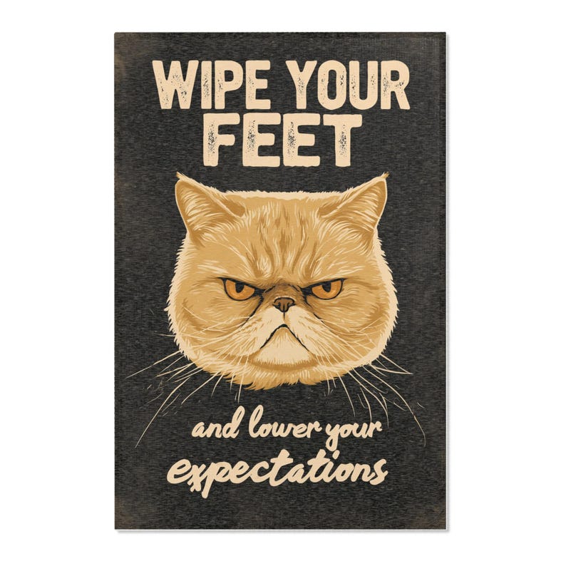 WIPE YOUR FEET Funny Cat Rug, Grumpy Cat Area Rug 24x36, Sarcastic Doormat Style Indoor Rug, Cat Lover Gift image 1
