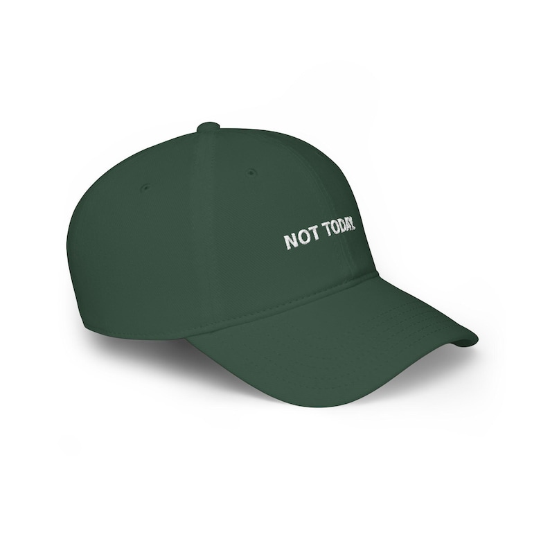 NOT TODAY Embroidered Hat, Funny Sarcastic Dad Cap, Introvert Humor Gift image 12