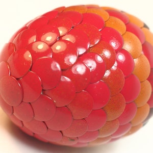 Red Dragon Egg fades to orange and black stripes image 4